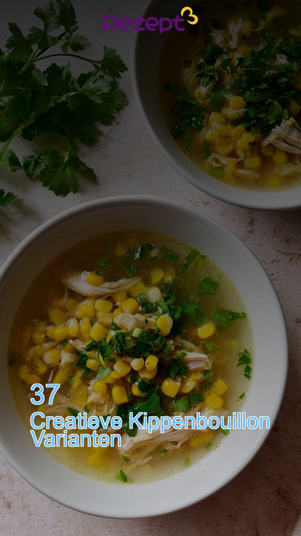 37 Creatieve Kippenbouillon Varianten