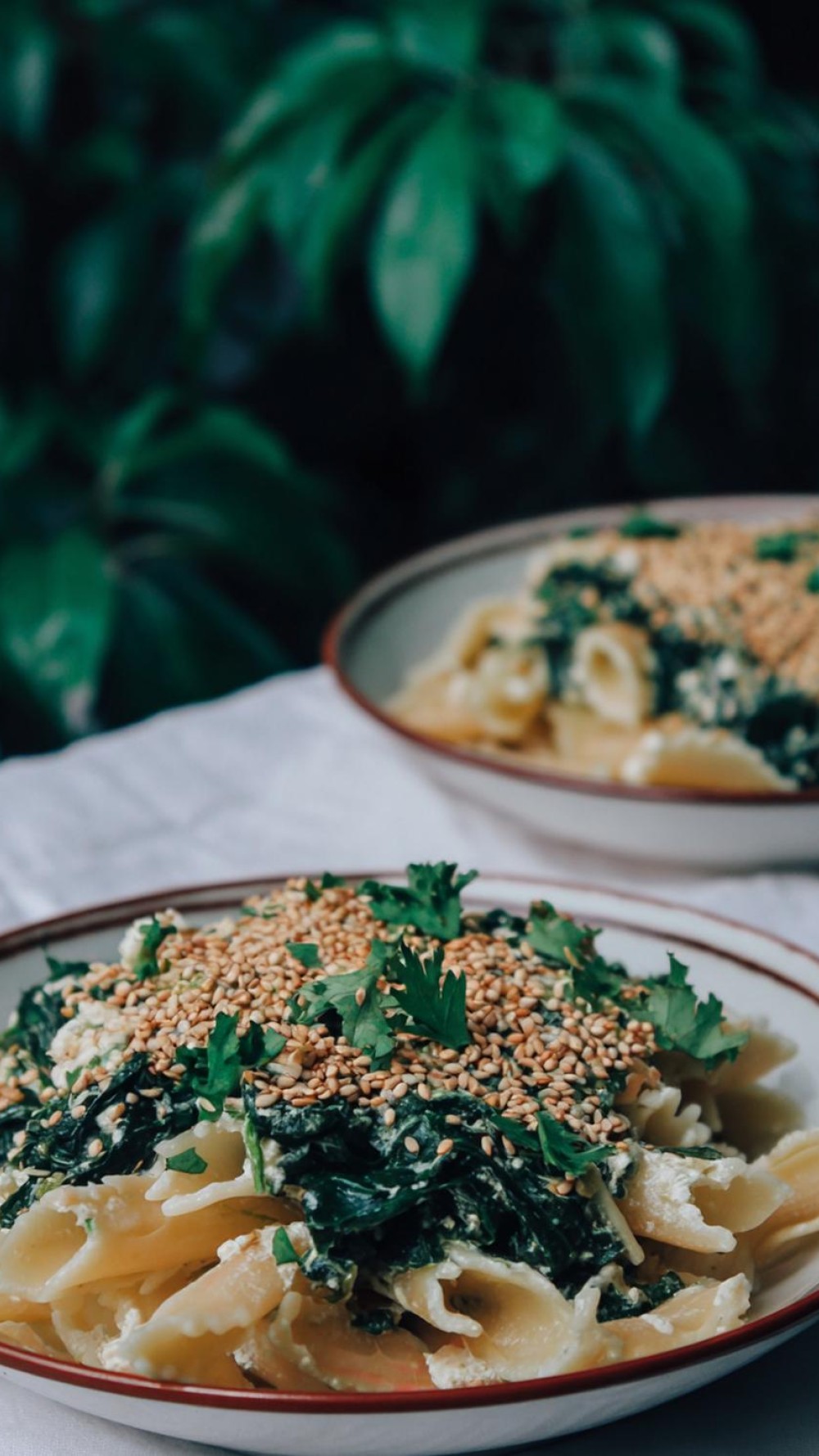 27 Schnellste Nudelauflauf Techniken