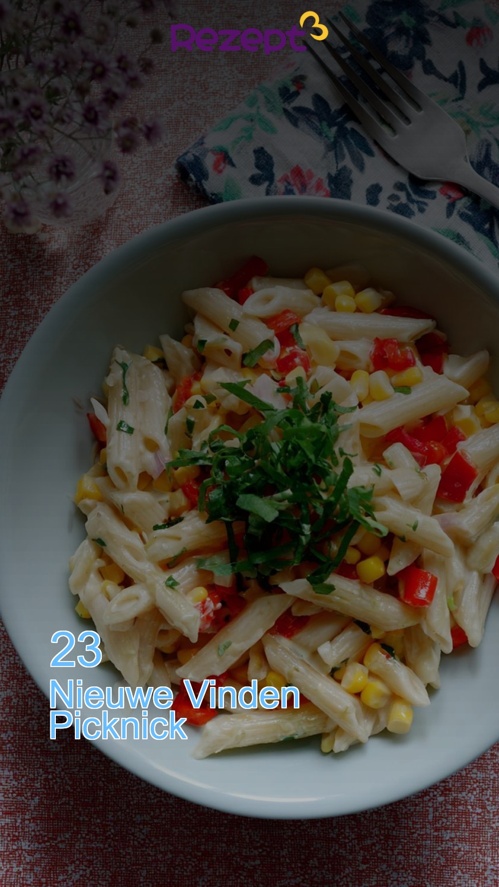 23 Nieuwe Vinden Picknick