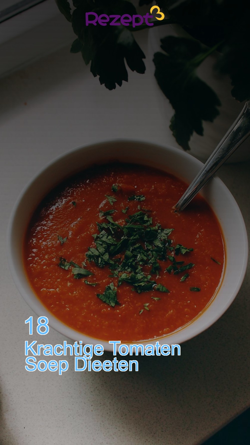 18 Krachtige Tomaten Soep Dieeten