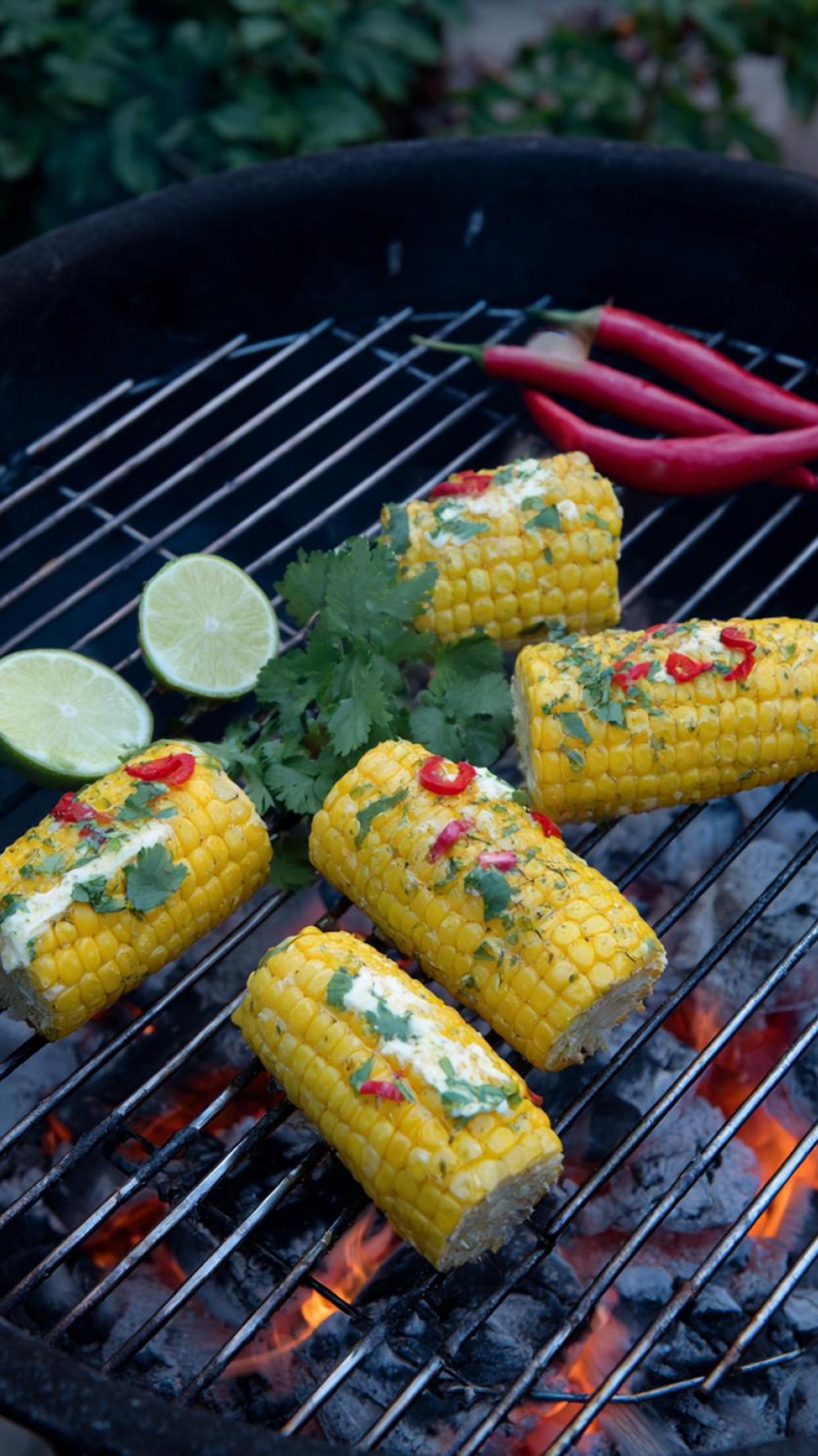 35 Avontuurlijke Vegetarische Grill Sessies