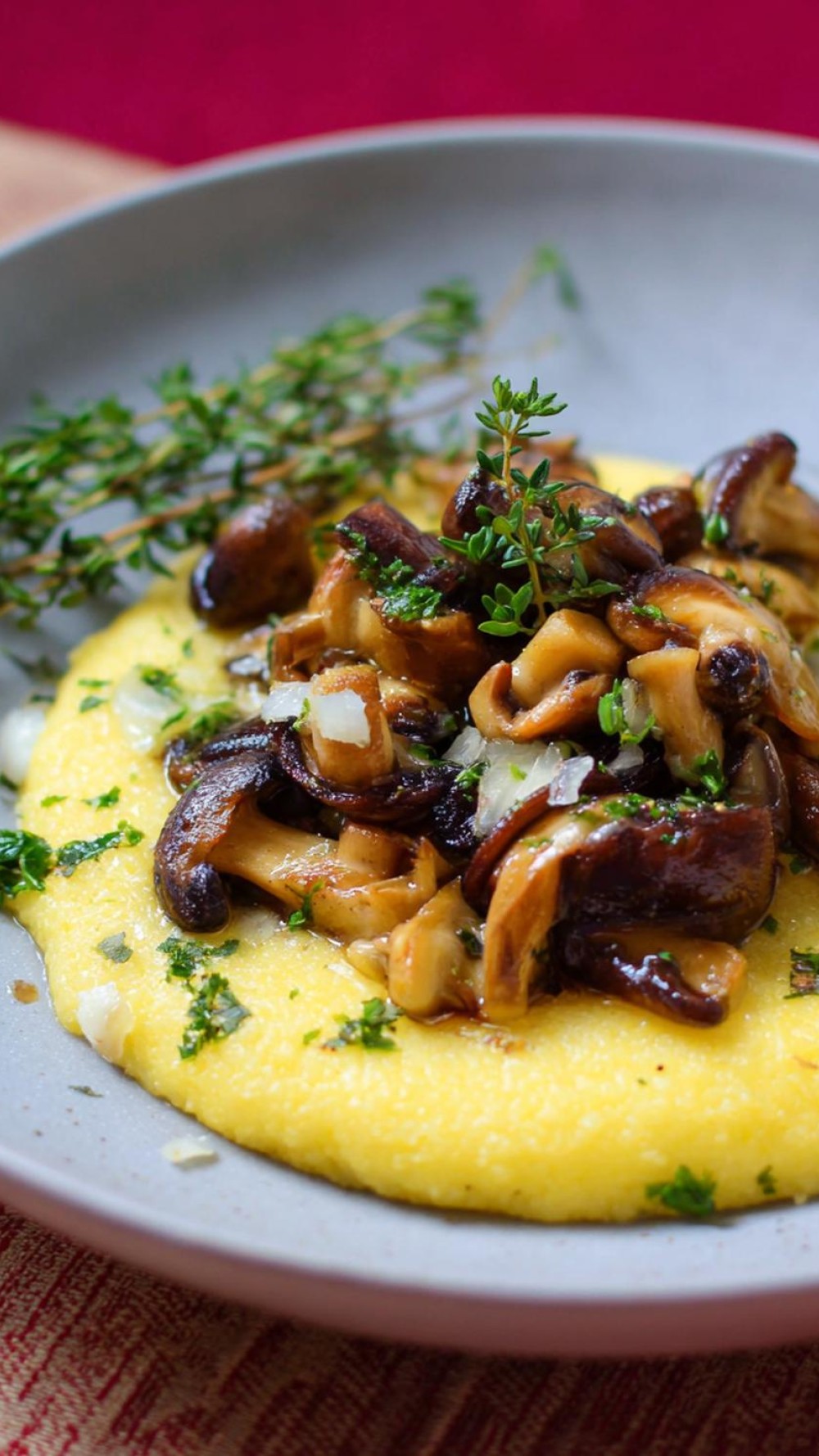 24 Gemakkelijke Gerechten Ovenschotels